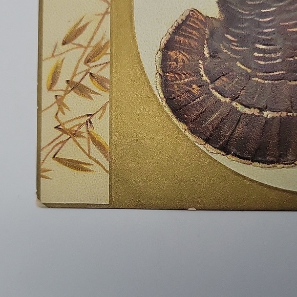 Vintage Postcard "A Happy Thanksgiving" Artist Ellen Clapsaddle 1900s No 51670 - Picture 5 of 5